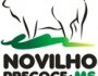 Novilho Precoce MS