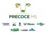 Programa Precoce MS