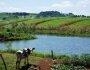 Sistema de Irrigao em pequena propriedade